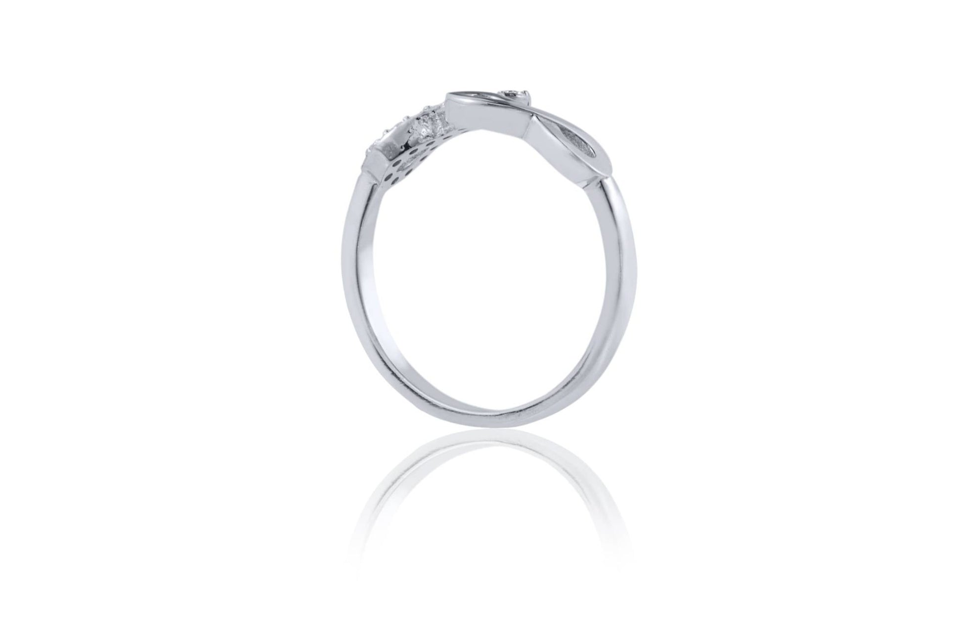 Ring with Double Infinity