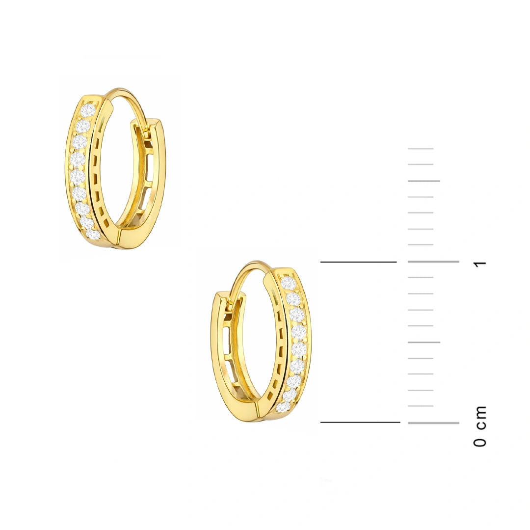 Orecchini in Oro Circolari con Zirconi
