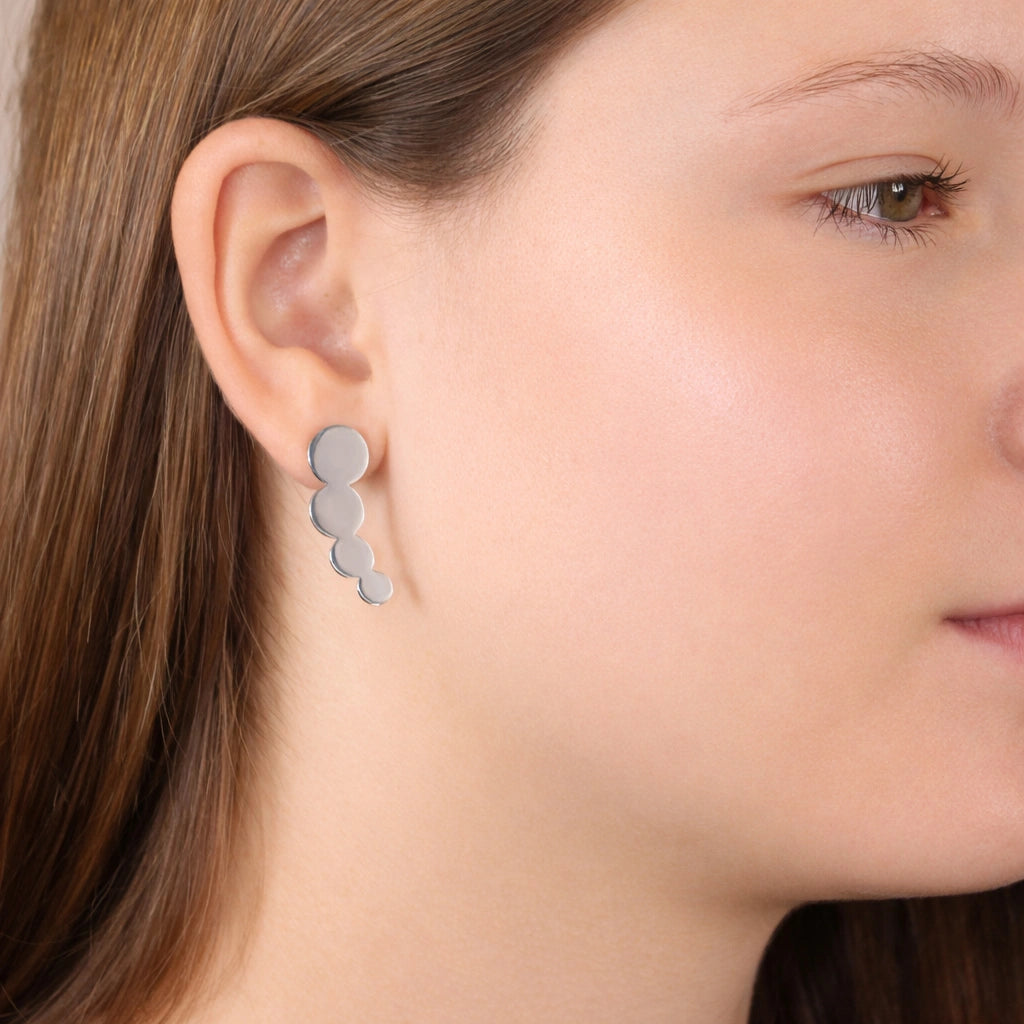 Silver Earrings with Circles